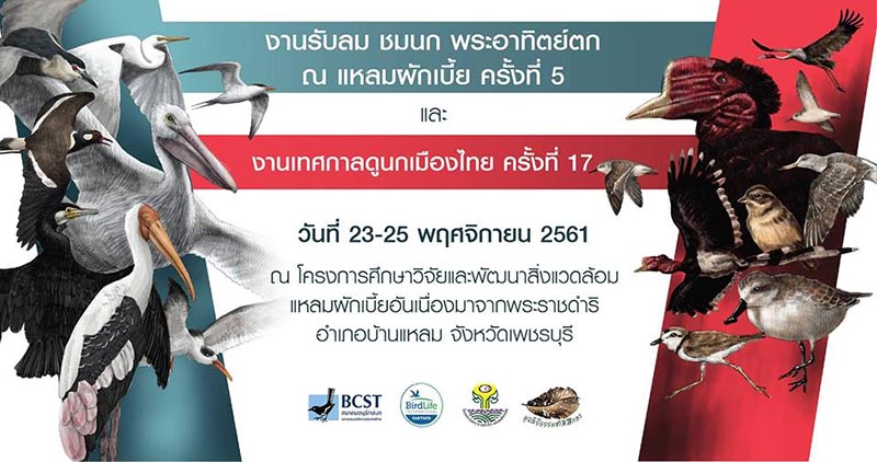 รวมเทศกาลท่องเที่ยวเดือนพฤศจิกายน 2561