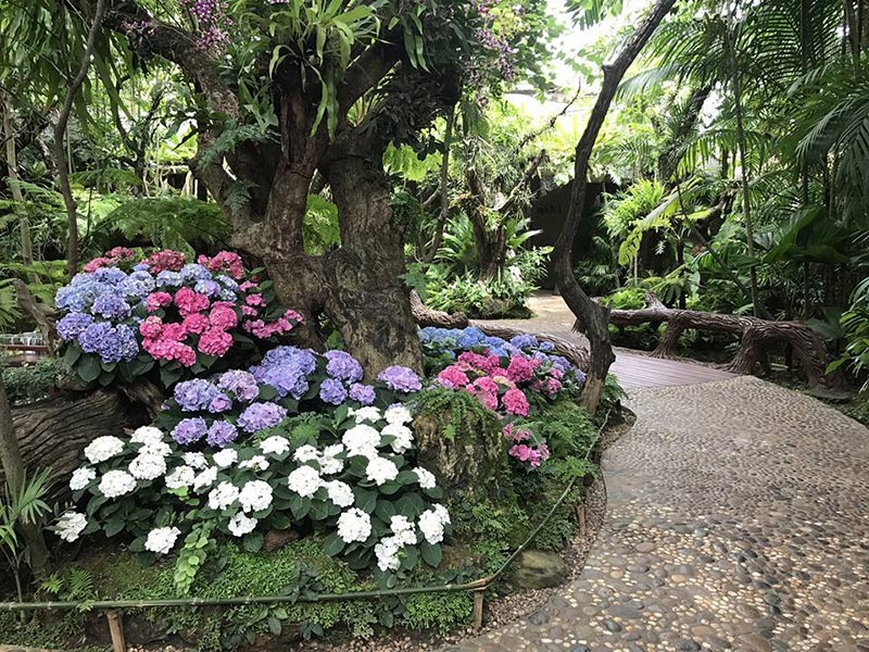 เที่ยวหางดง เชียงใหม่