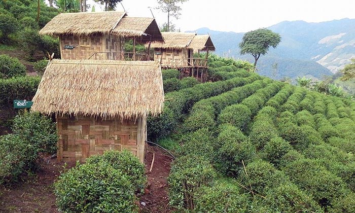 สถานีพัฒนาการเกษตรที่สูงตามพระราชดำริ บ้านสะจุก-สะเกี้ยง