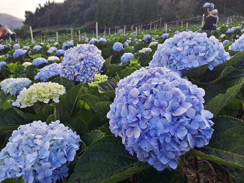 ที่เที่ยวเดือนพฤศจิกายน