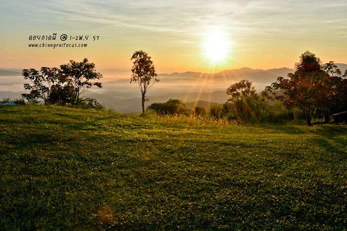 ดอยน่าเที่ยว