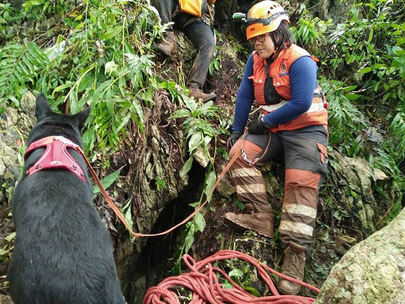เจ้าทิกเกอร์ สุนัข K-9 ร่วมภารกิจหาปล่องที่ถ้ำหลวง แม้ทางชัน แต่น้องขอสู้