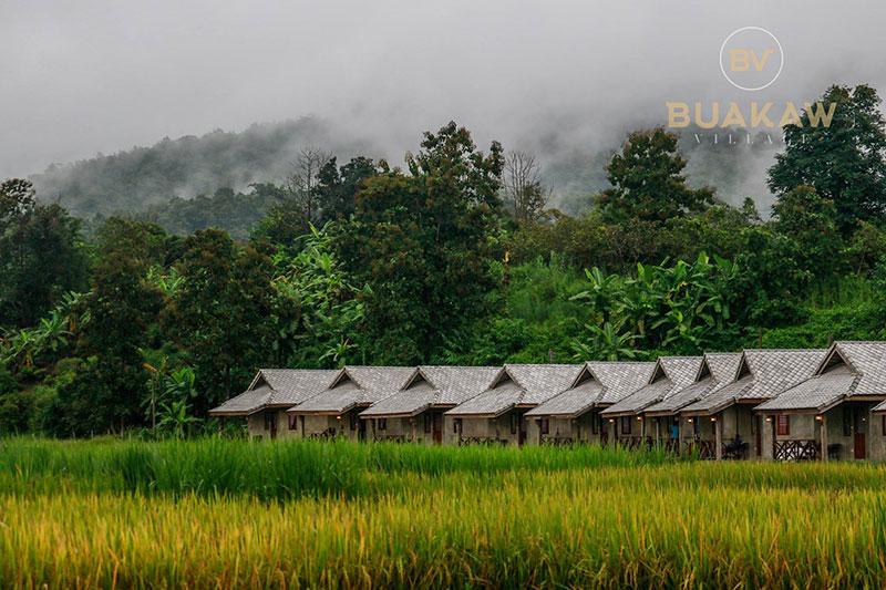 บัวขาว วิลเลจ รีสอร์ต-ค่ายมวยของ บัวขาว บัญชาเมฆ 