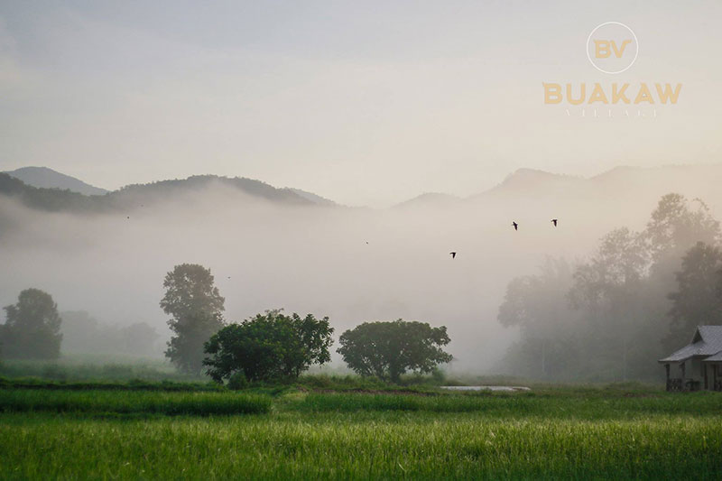 บัวขาว วิลเลจ รีสอร์ต-ค่ายมวยของ บัวขาว บัญชาเมฆ 