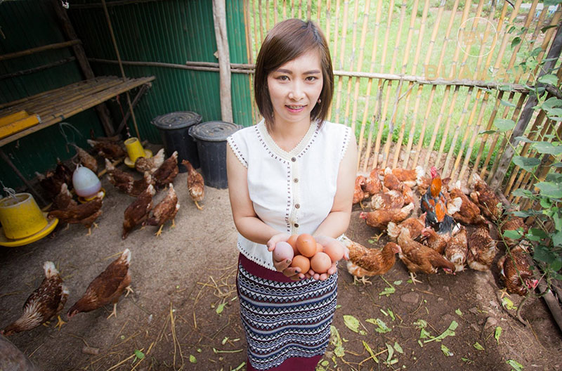 บัวขาว วิลเลจ รีสอร์ต-ค่ายมวยของ บัวขาว บัญชาเมฆ 