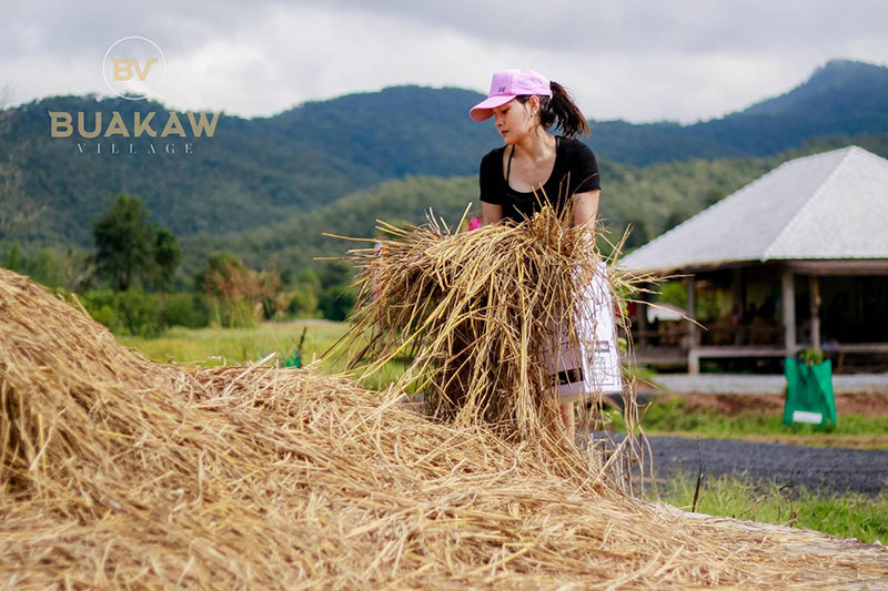 บัวขาว วิลเลจ รีสอร์ต-ค่ายมวยของ บัวขาว บัญชาเมฆ 