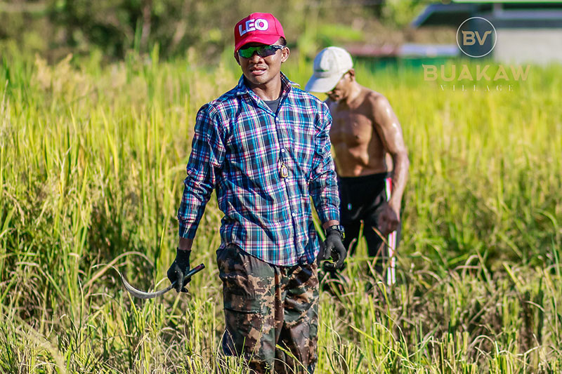 บัวขาว วิลเลจ รีสอร์ต-ค่ายมวยของ บัวขาว บัญชาเมฆ 