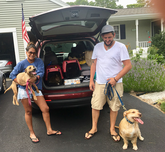 สุนัขคู่แฝด หน้าคล้าย