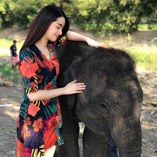 เสื้อลายดอกดารา