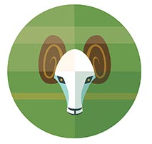 ดูดวงการงาน