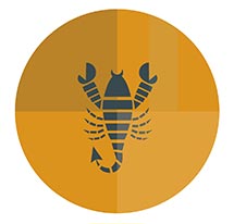 ดูดวงการงาน