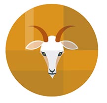 ดูดวงการงาน