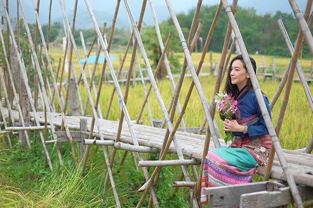 ดาราแต่งชุดเหนือ