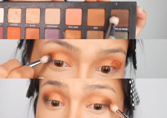 แพร วทานิกา