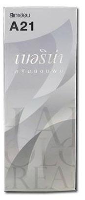 สีผมน้ำตาลประกายเทา