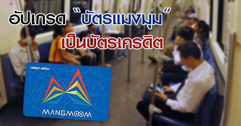 บัตรแมงมุม