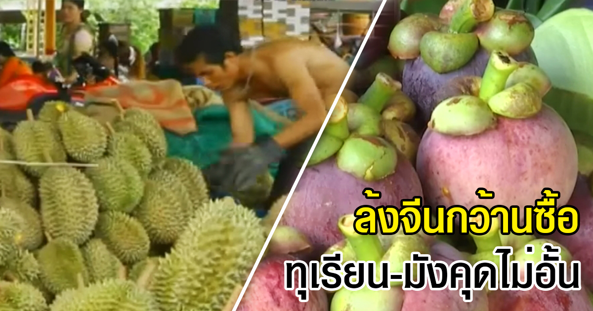 ล้งจีน