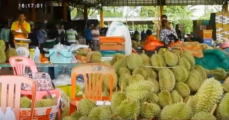 ราคาทุเรียน