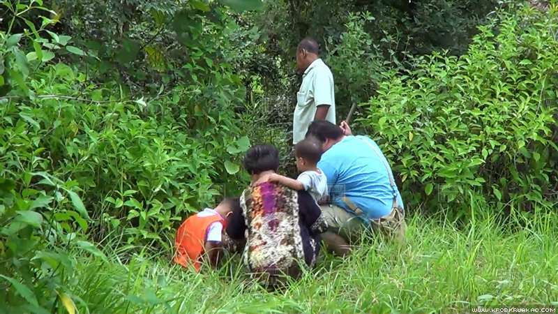 อังกาบหนูรักษามะเร็ง