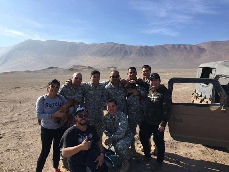 หมาตกเครื่องบิน