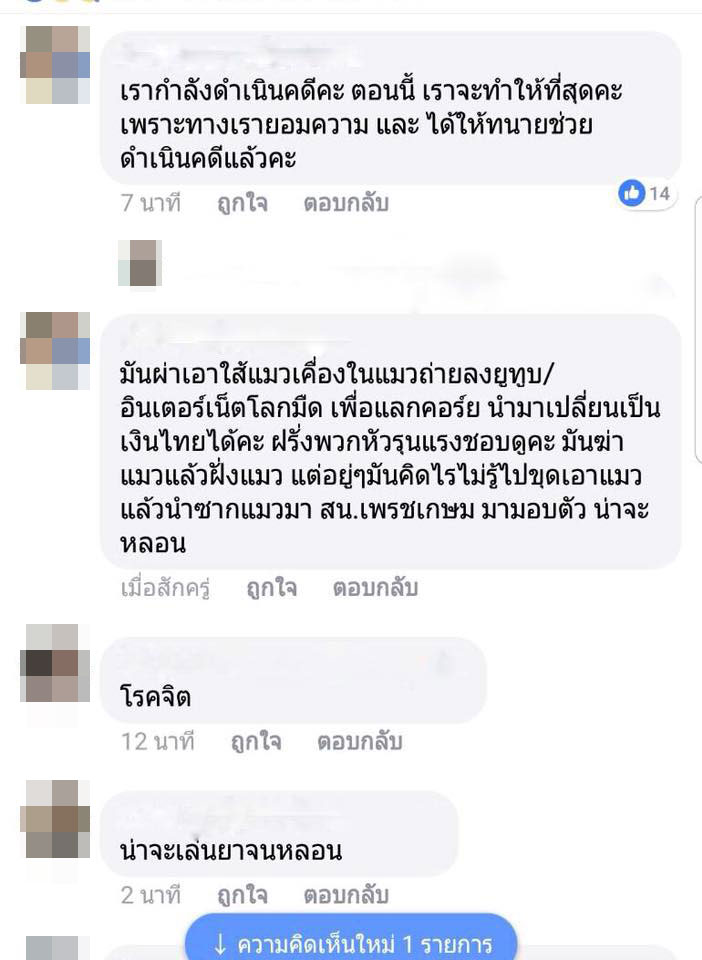 ดีเจสาวฆ่าลูกแมว