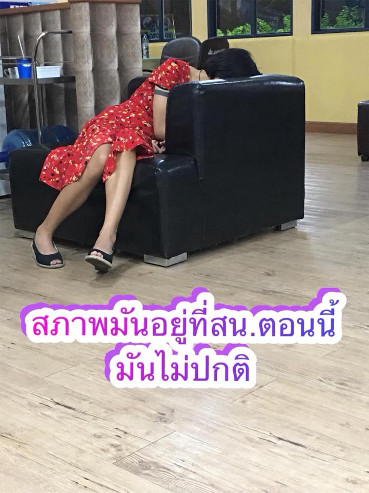 ดีเจสาวฆ่าลูกแมว