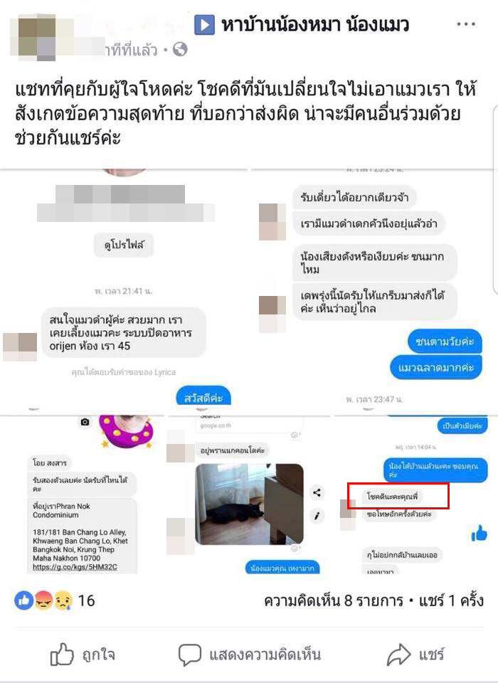 ดีเจสาวฆ่าลูกแมว