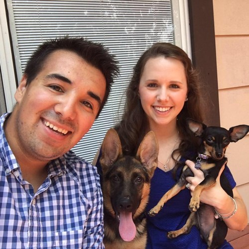 สุนัขถูกยิง