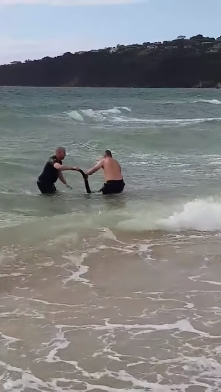 ช่วยจิงโจ้