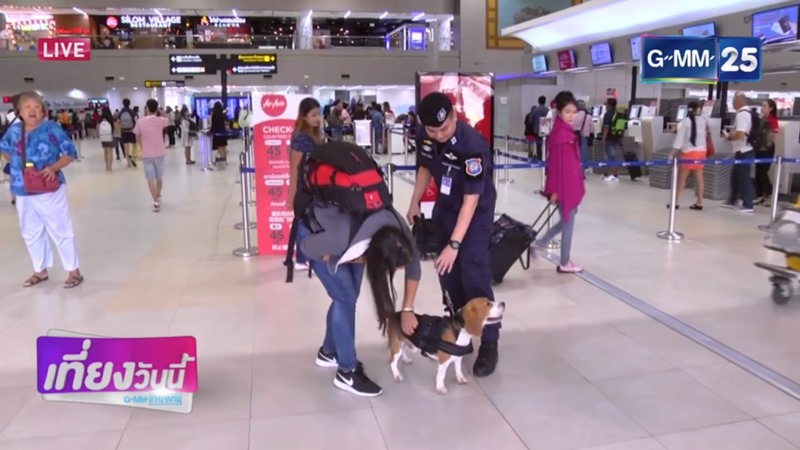 ลูก้า สุนัขตำรวจตรีพันธุ์บีเกิล