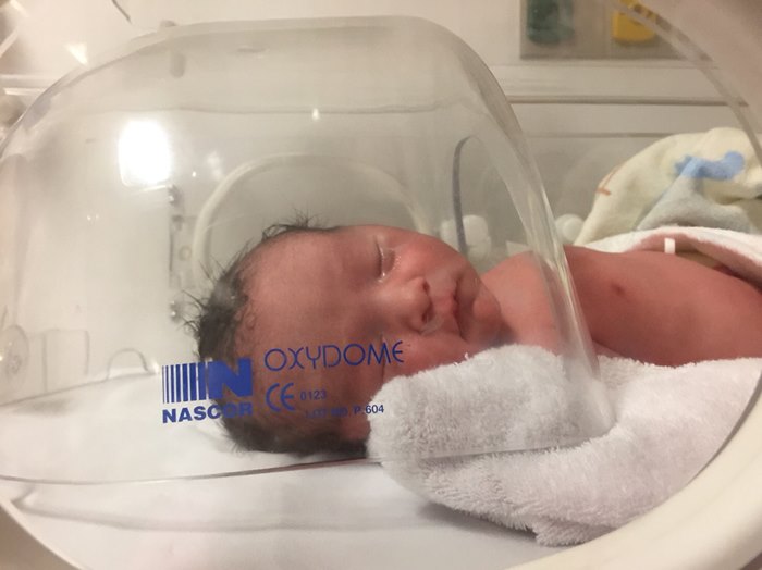 เรย์ แมคโดนัลด์