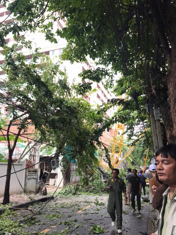 มิ้งค์ ณัฏฐริณีย์