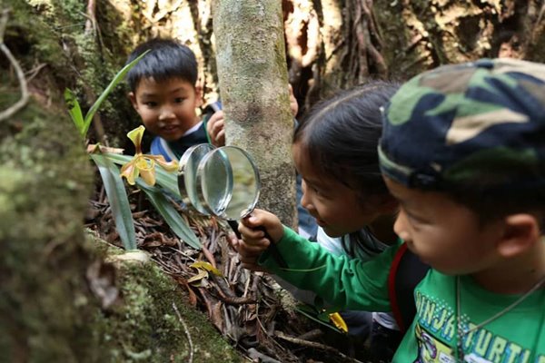 อเล็กซ์ เรนเดลล์