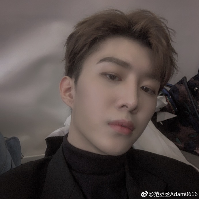 ฟ่าน ปิงปิง