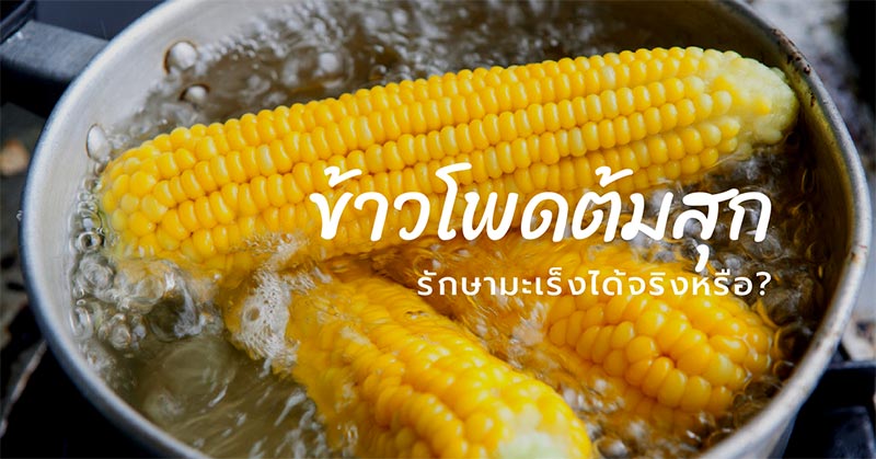 ข้าวโพดต้ม