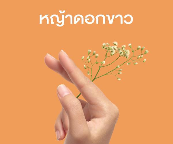 วิธีเลิกบุหรี่