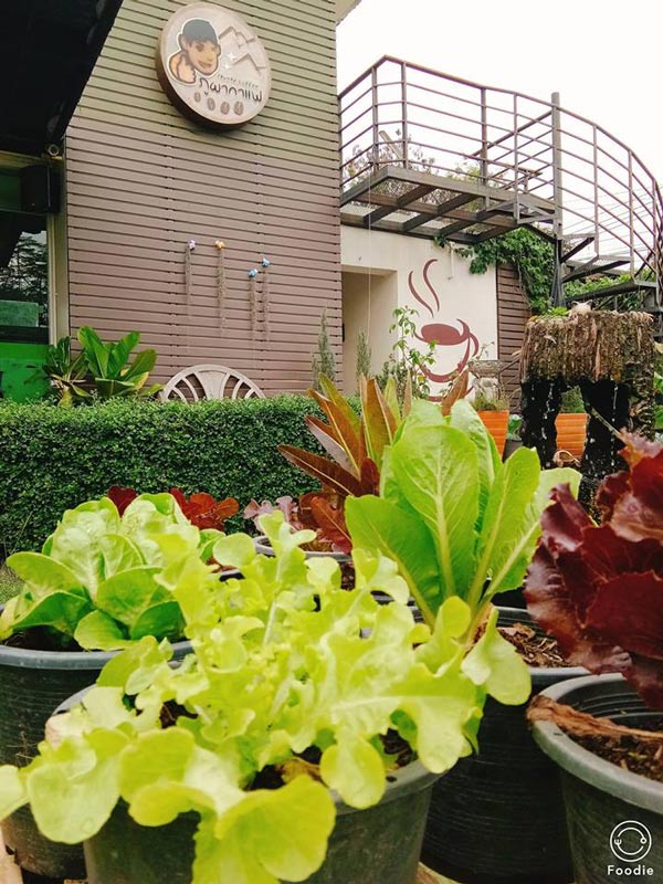 ร้านกาแฟอุทัยธานี