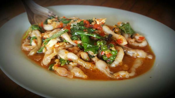 ร้านอาหารสมุทรสงคราม ร้านอาหารสมุทรสงคราม