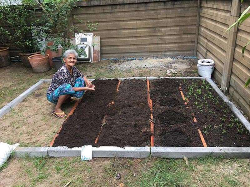 หนูเล็ก ก่อนบ่าย