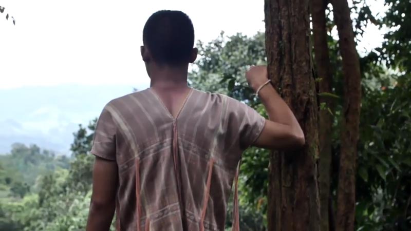 นัน ไมค์ทองคำ