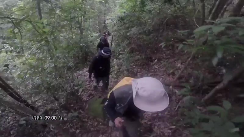 นัน ไมค์ทองคำ