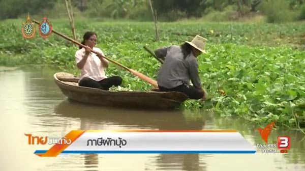 ภาษีผักบุ้ง ละคร หนึ่งด้าวฟ้าเดียว