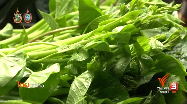 ภาษีผักบุ้ง ละคร หนึ่งด้าวฟ้าเดียว