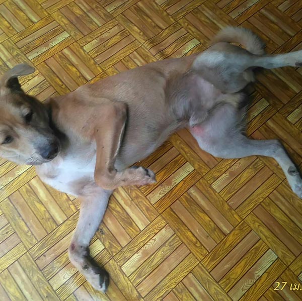 มิค บรมวุฒิ