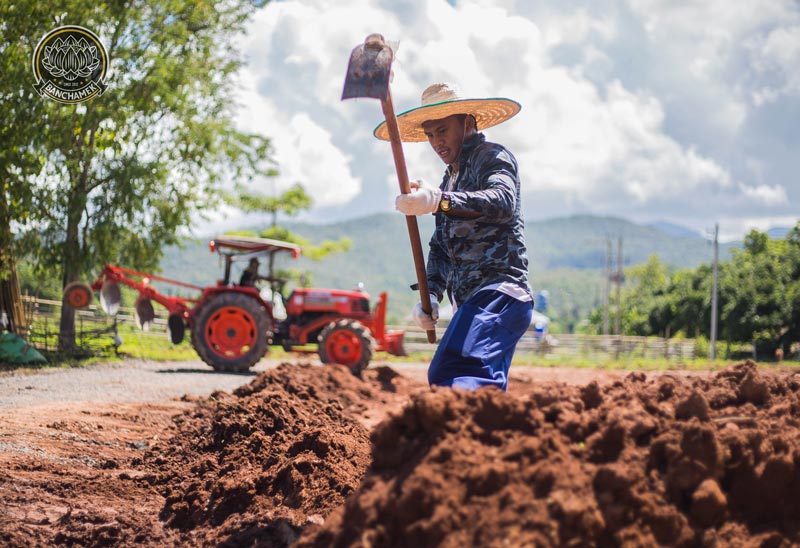 บัวขาว บัญชาเมฆ