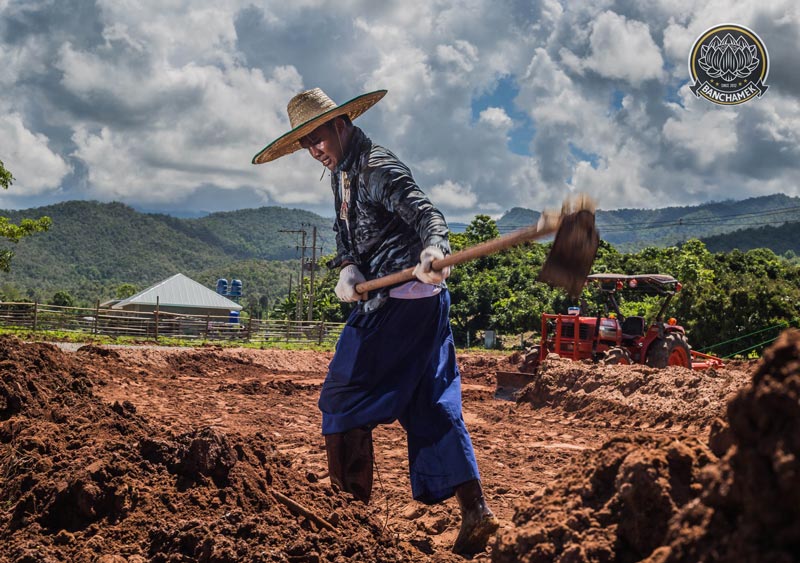 บัวขาว บัญชาเมฆ