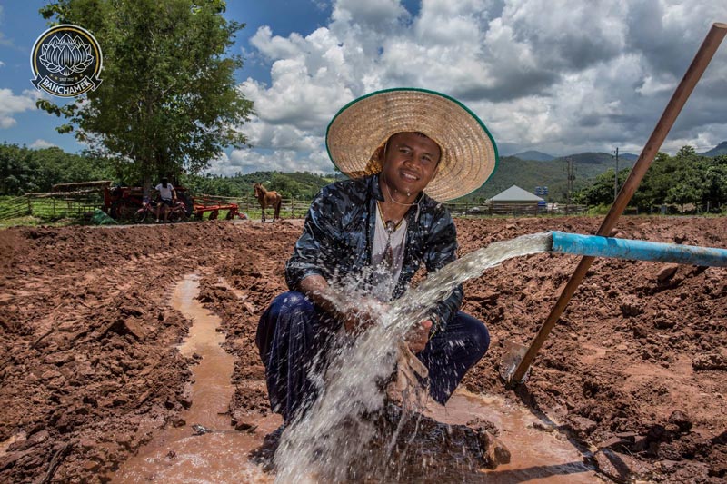 บัวขาว บัญชาเมฆ