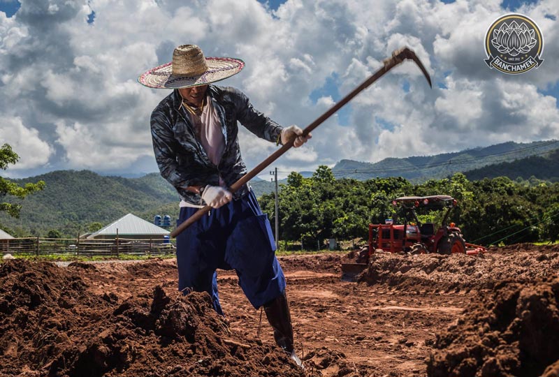 บัวขาว บัญชาเมฆ