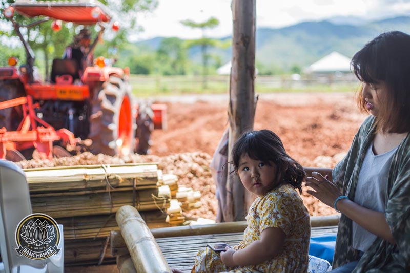 บัวขาว บัญชาเมฆ