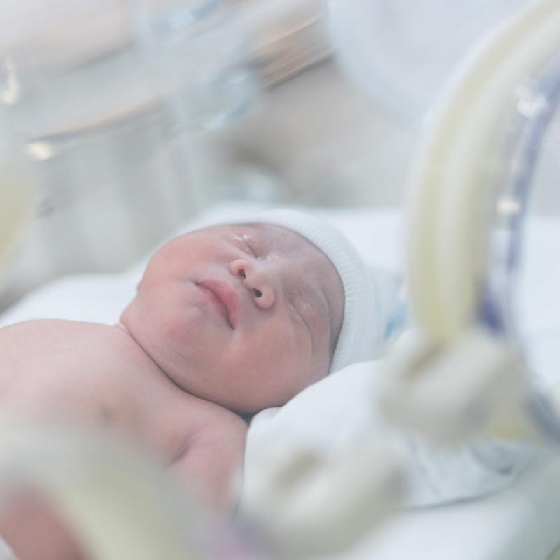 เบนซ์ พริกไทย น้องแมคลาเรน